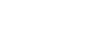 ENDLESS POOLS LOGO